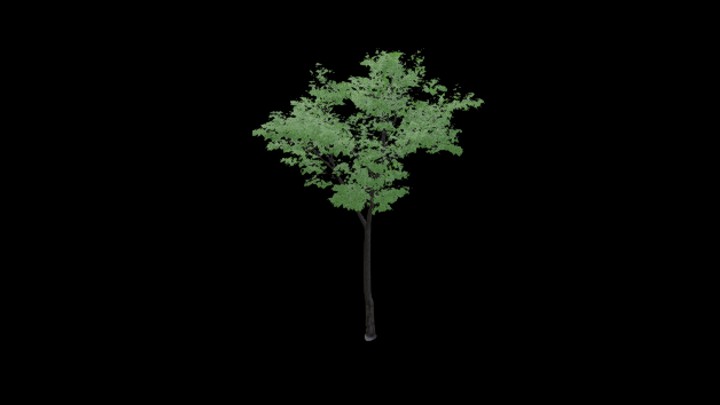 UE项目资源_树077