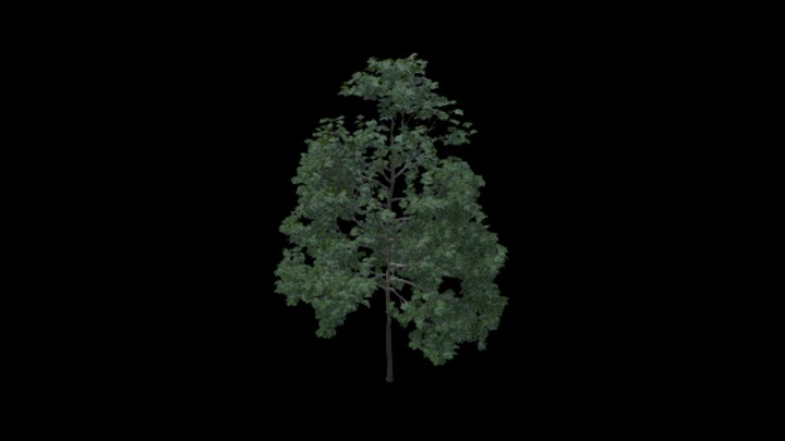 UE项目资源_树070