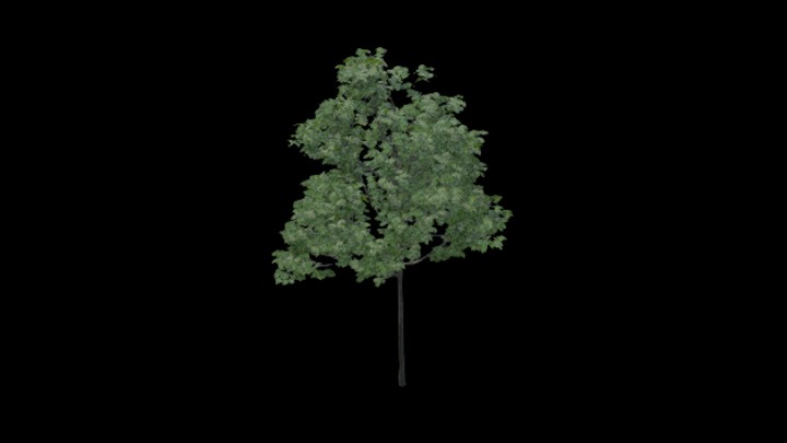 UE项目资源_树068