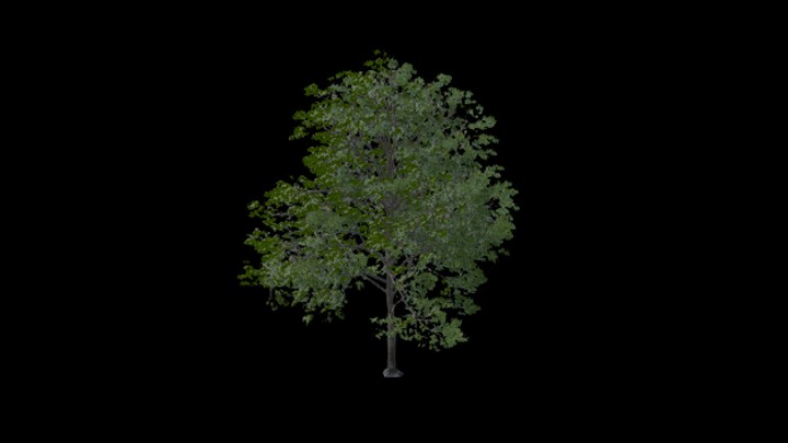 UE项目资源_树064