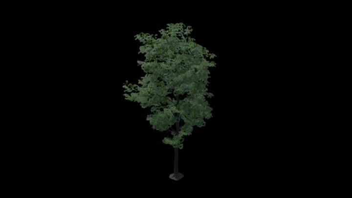 UE项目资源_树060