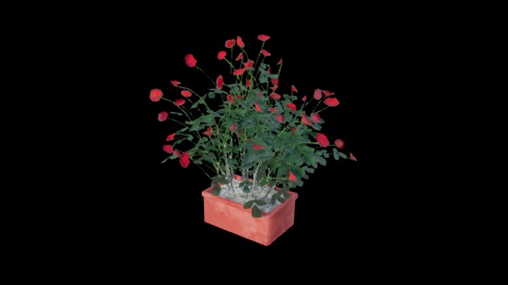 UE项目资源_盆栽004