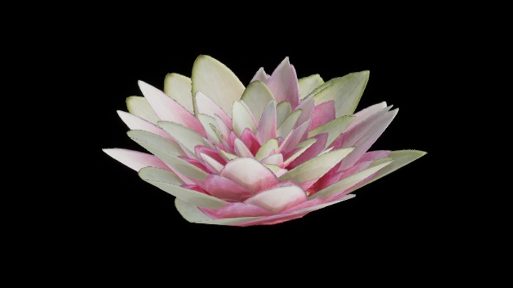 UE项目资源_荷花002