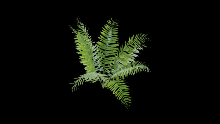 UE项目资源_植物062