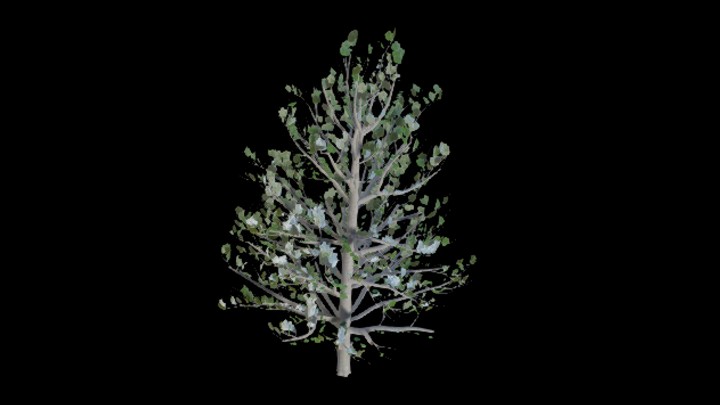 UE项目资源_树木031