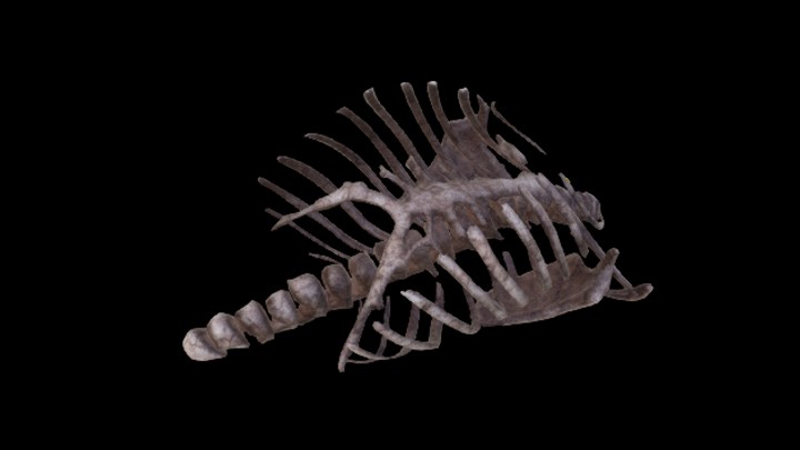 UE项目资源_骨架001