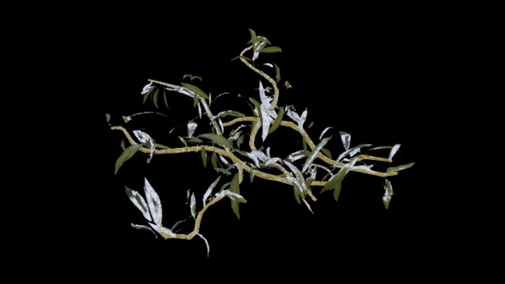 UE项目资源_植物077