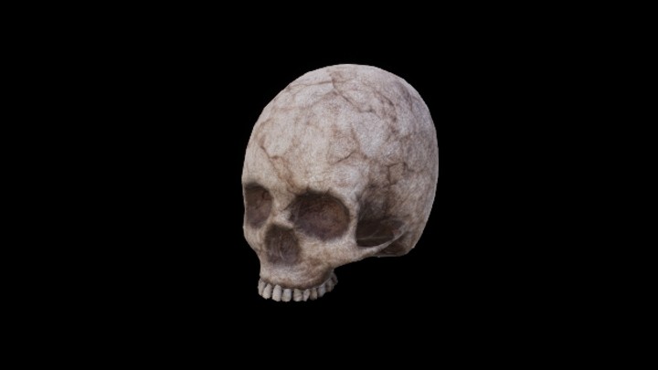 UE项目资源_头骨002