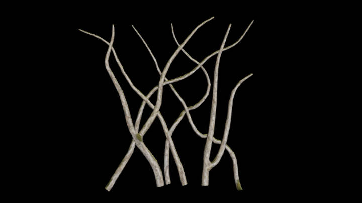 UE项目资源_藤蔓009