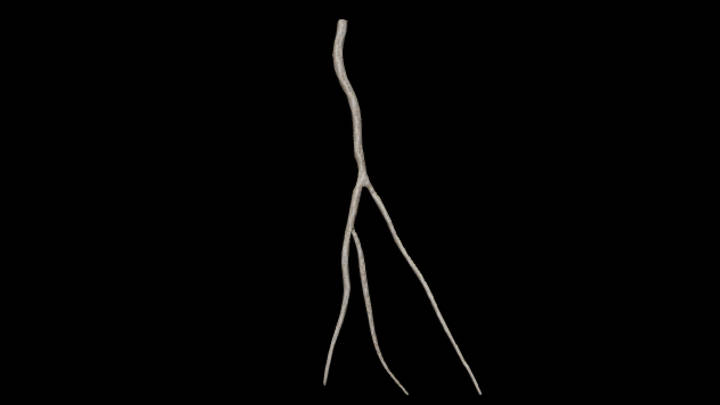 UE项目资源_藤蔓008