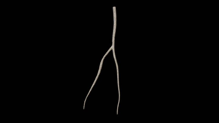 UE项目资源_藤蔓007