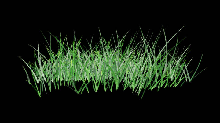 UE项目资源_草112