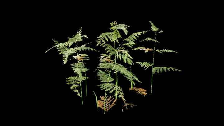 UE项目资源_草119