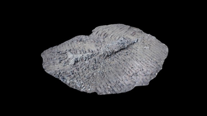 UE项目资源_地面022