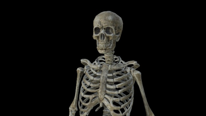 UE项目资源_骨架002