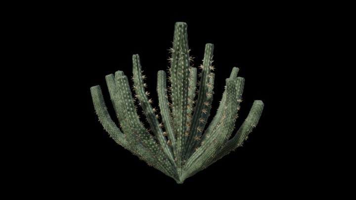 UE项目资源_植物087