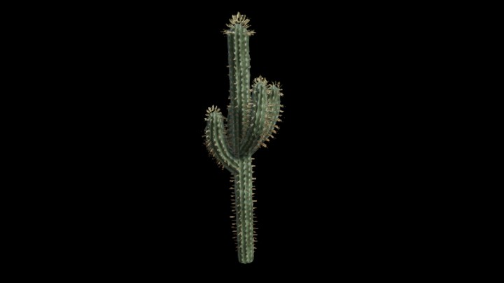 UE项目资源_植物083