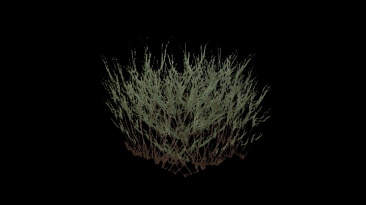 UE项目资源_植物080