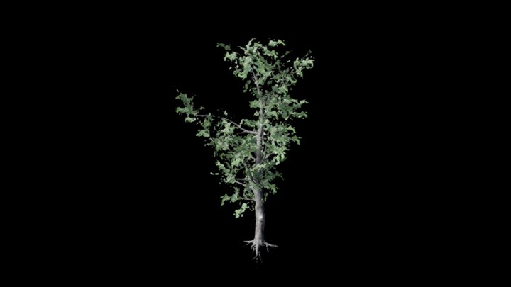 UE项目资源_树135