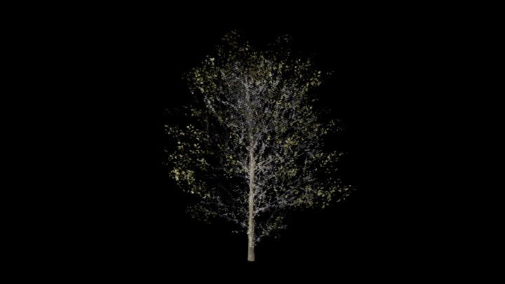 UE项目资源_树115