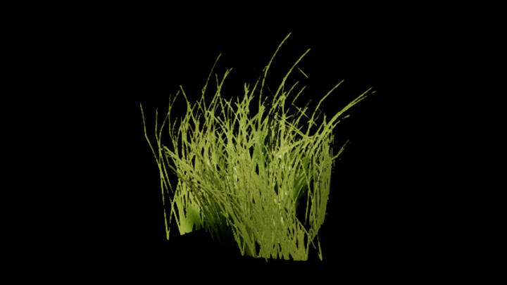 UE项目资源_草126