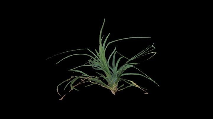 UE项目资源_草134