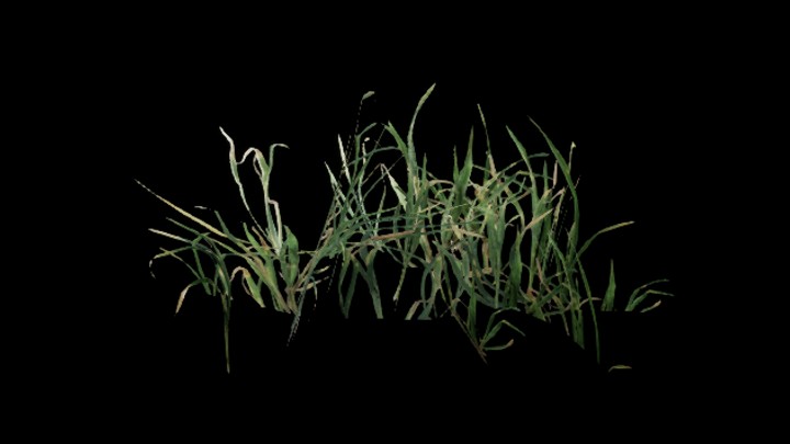 UE项目资源_草136