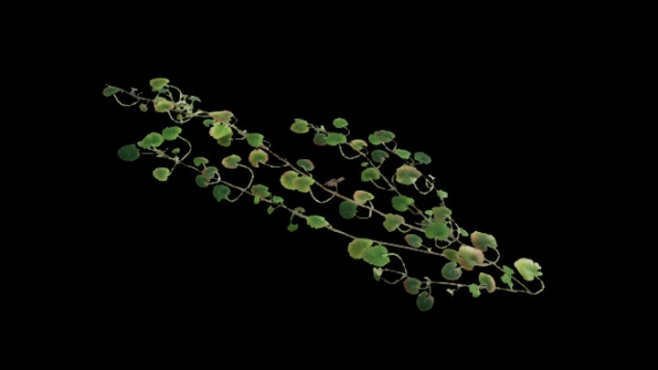 UE项目资源_草141