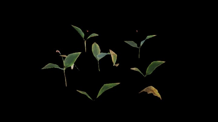 UE项目资源_草142