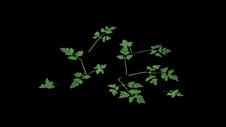 UE项目资源_草144