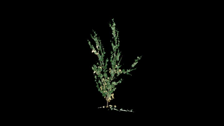 UE项目资源_草148