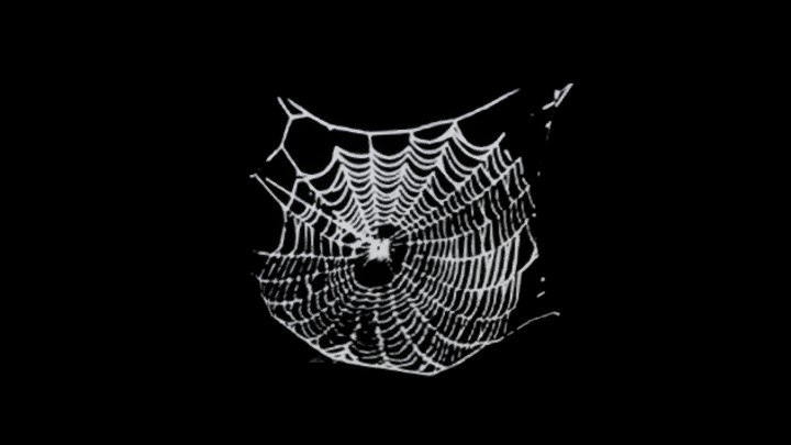 UE项目资源_蜘蛛网015