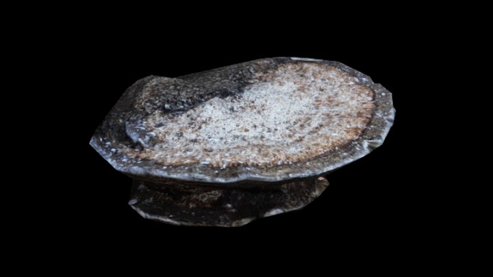 UE项目资源_蘑菇023