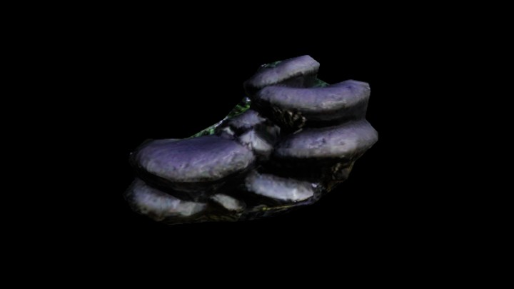 UE项目资源_蘑菇027