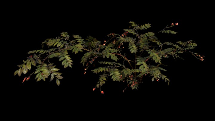 UE项目资源_植物099