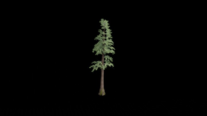 UE项目资源_树162