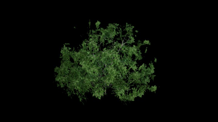 UE项目资源_树159