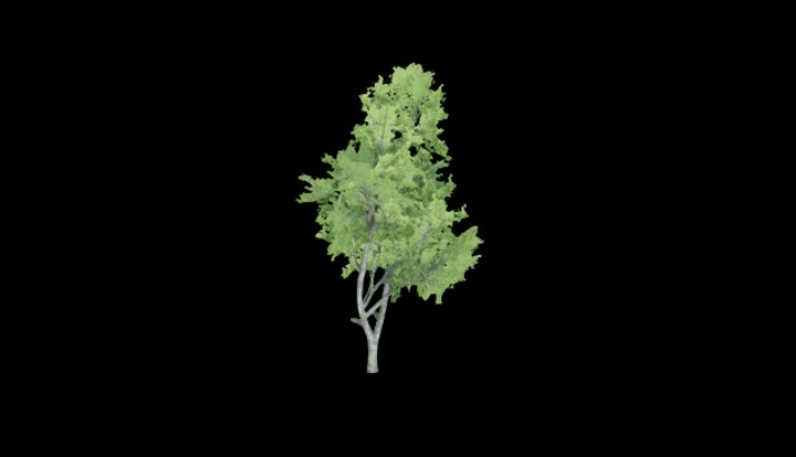 UE项目资源_树154