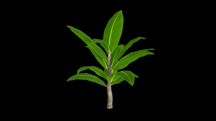 UE项目资源_树150