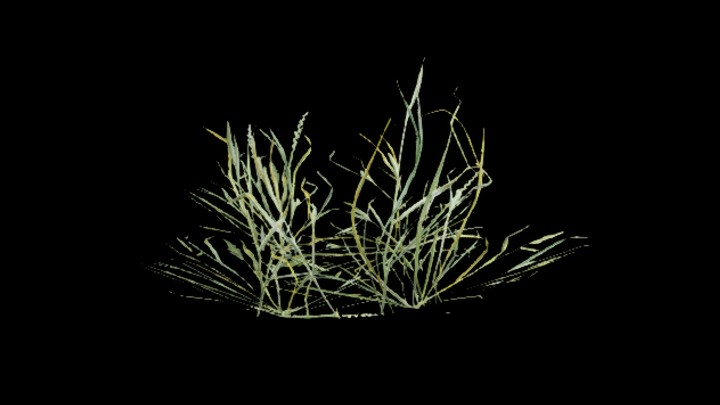 UE项目资源_草188