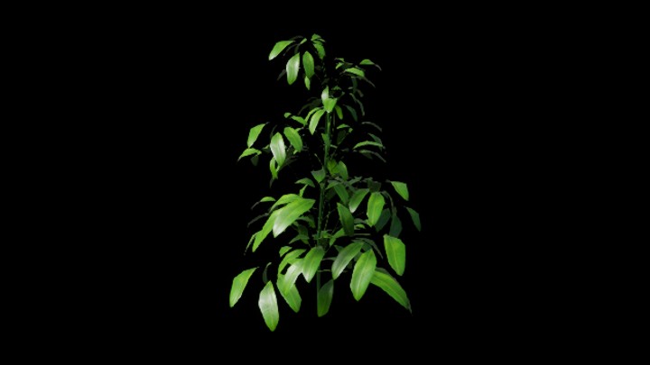 UE项目资源_草196