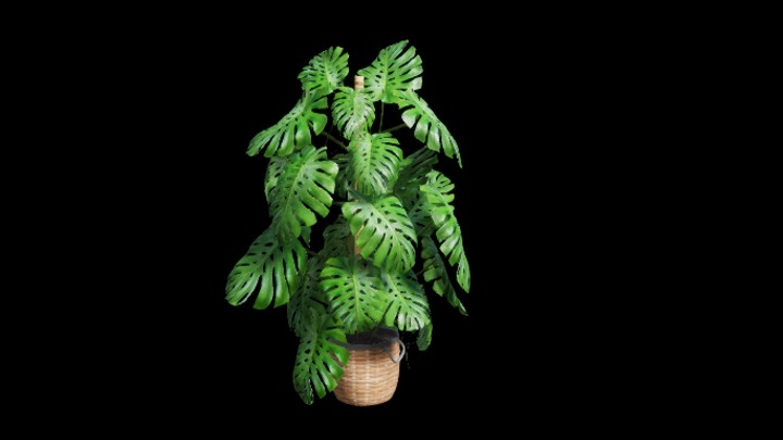 UE项目资源_盆栽049