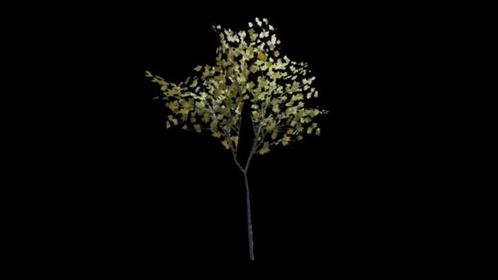 UE项目资源_树187