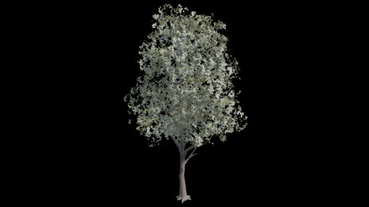 UE项目资源_树木035