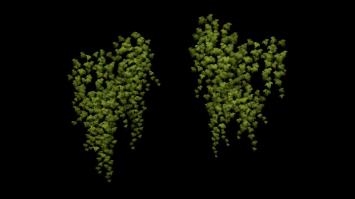 UE项目资源_植物124