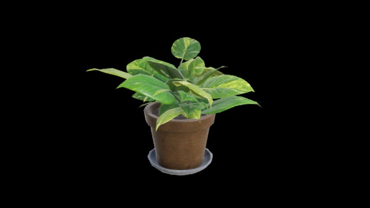 UE项目资源_盆栽058