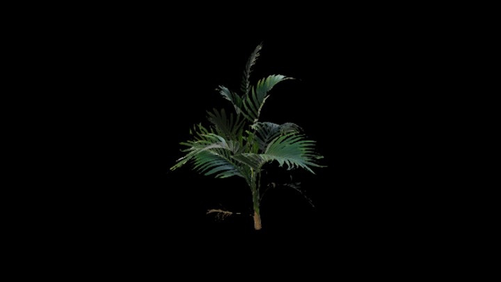 UE项目资源_草206