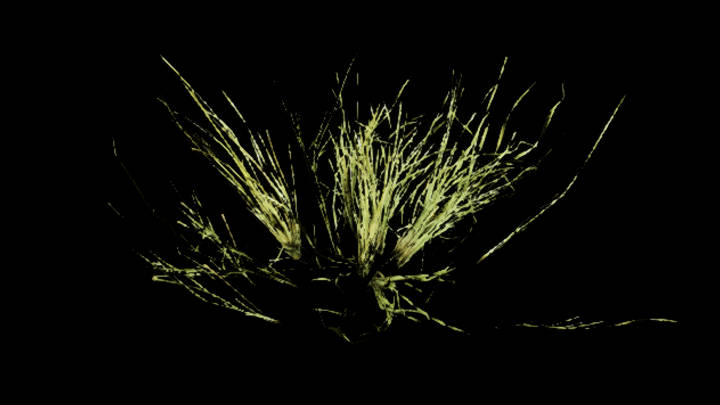 UE项目资源_草219