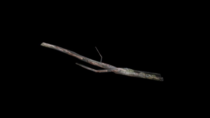 UE项目资源_枯树枝001