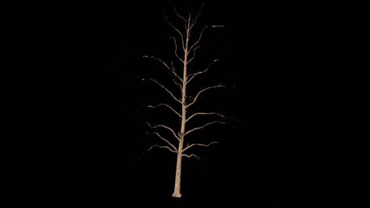 UE项目资源_树干003